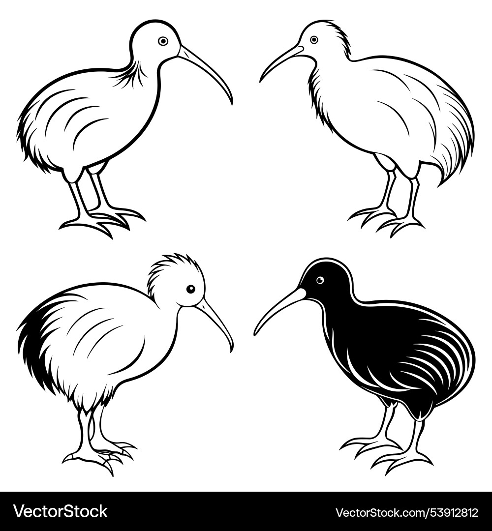 3d rendering of dynamic kiwi bird silhouette line Vector Image