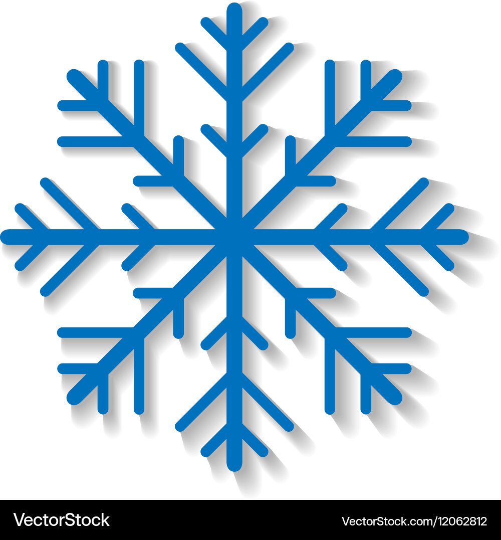 Isolated Snowflake vector image