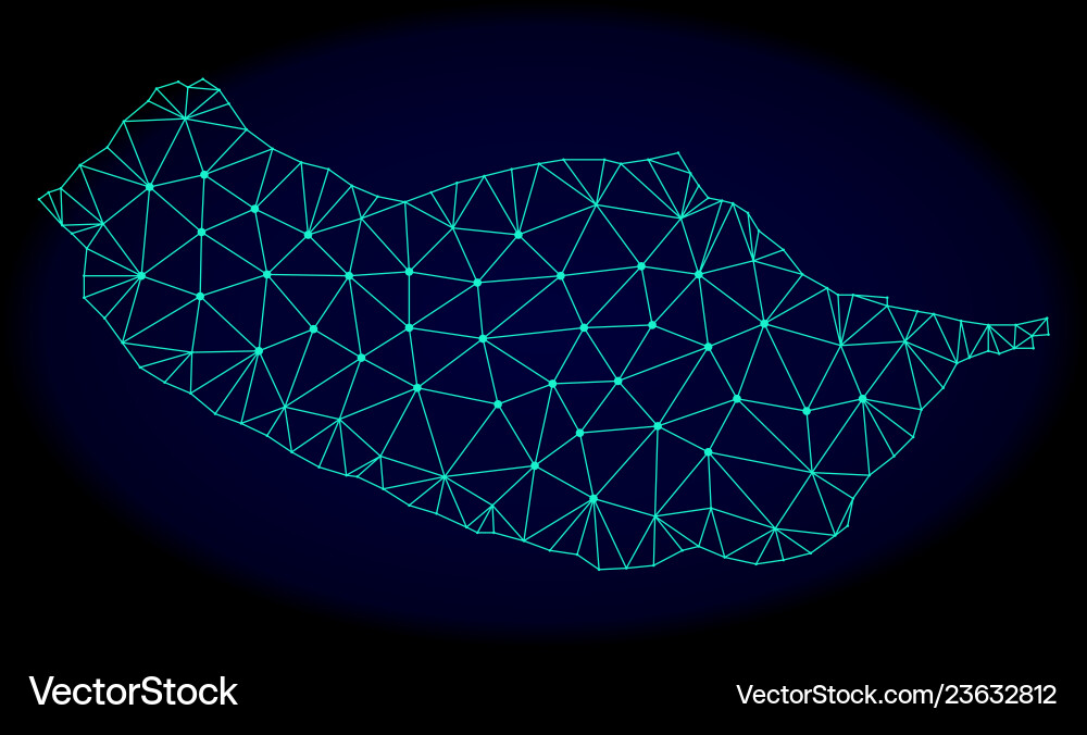 Polygonal network mesh abstract map Vector Image