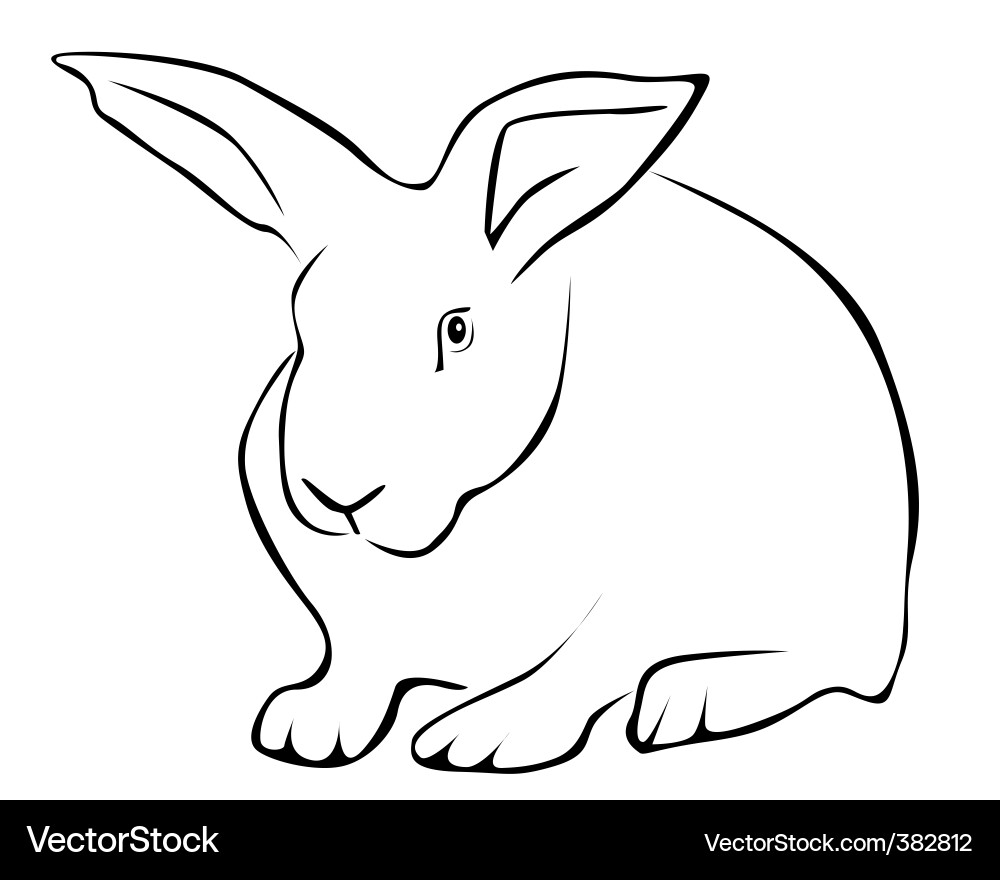 White Rabbit Tracing Vector Image