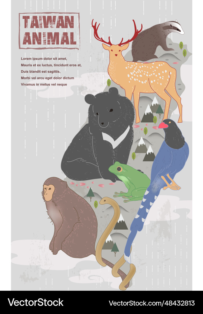 Adorable taiwan endemic species collection Adorable taiwan endemic species collection vector image