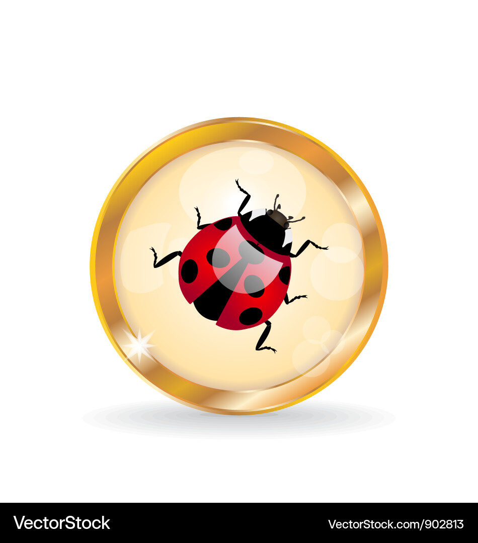 Button with ladybug vector image