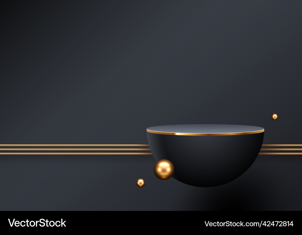 Black podium for premium product presentation Black podium for premium product presentation vector image