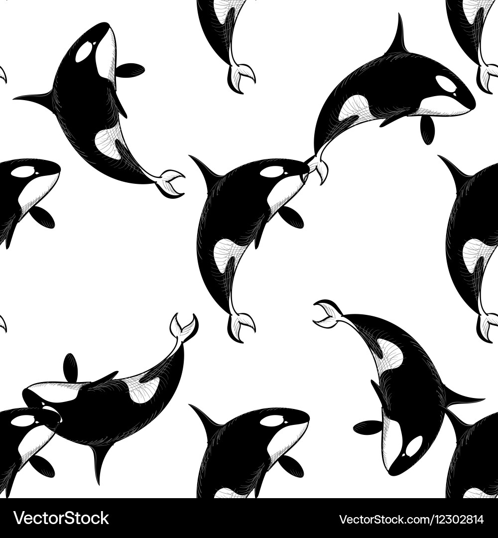Grampus seamless pattern Vector Image