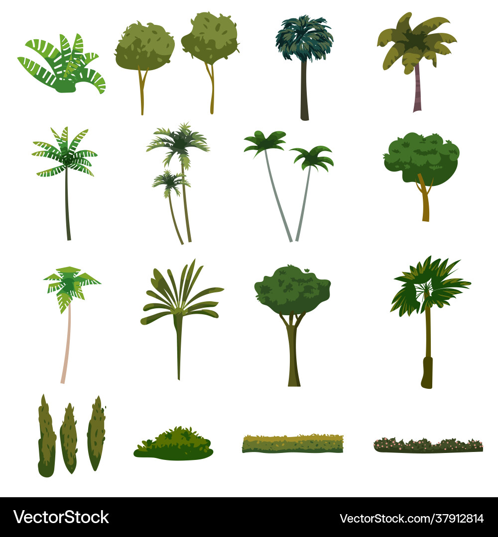 Palm trees tropical exotic plants set collection Palm trees tropical exotic plants set collection vector image