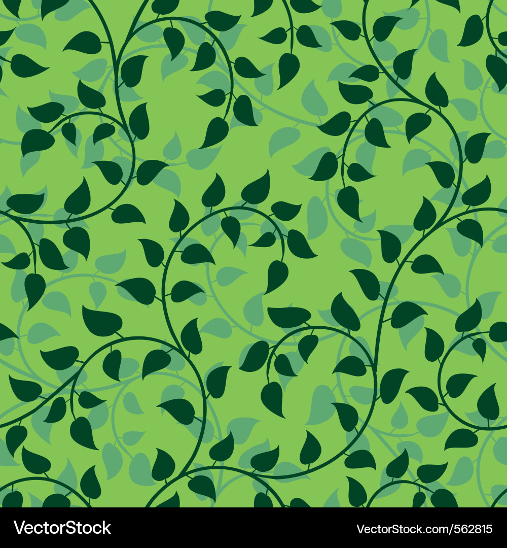 Lush Green Vines Pattern Vector Image