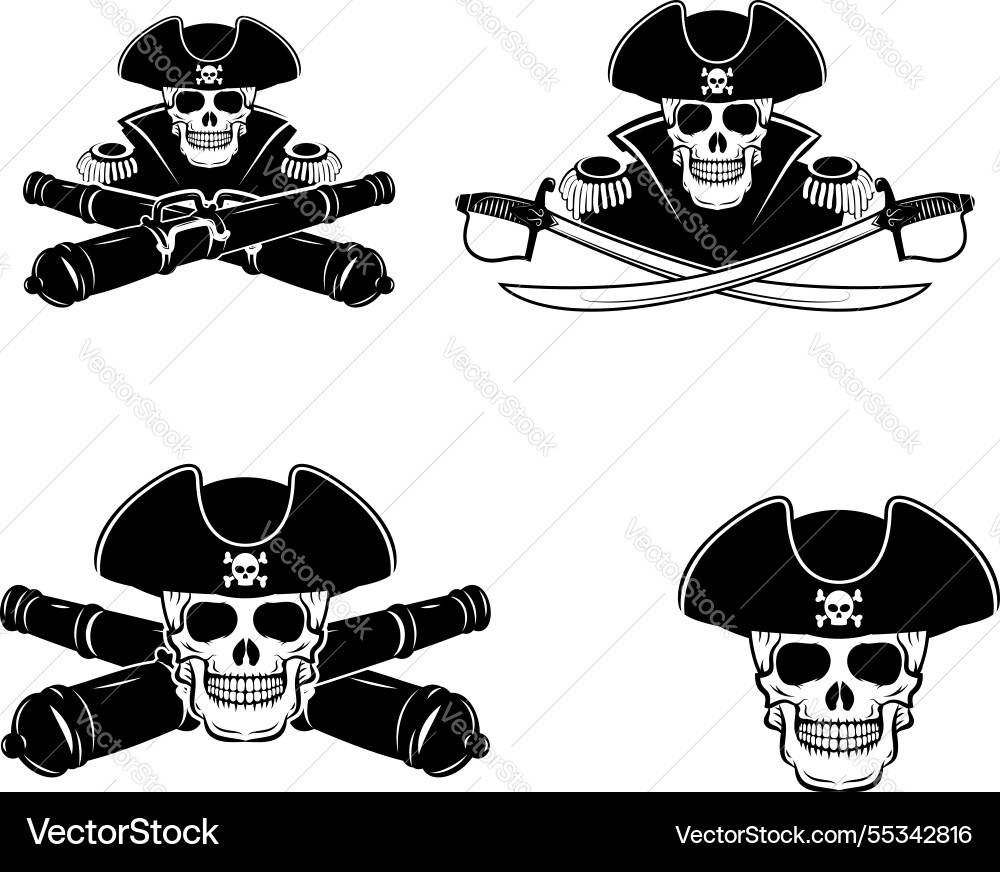 Admiral label and logo design template pirate Admiral label and logo design template pirate vector image