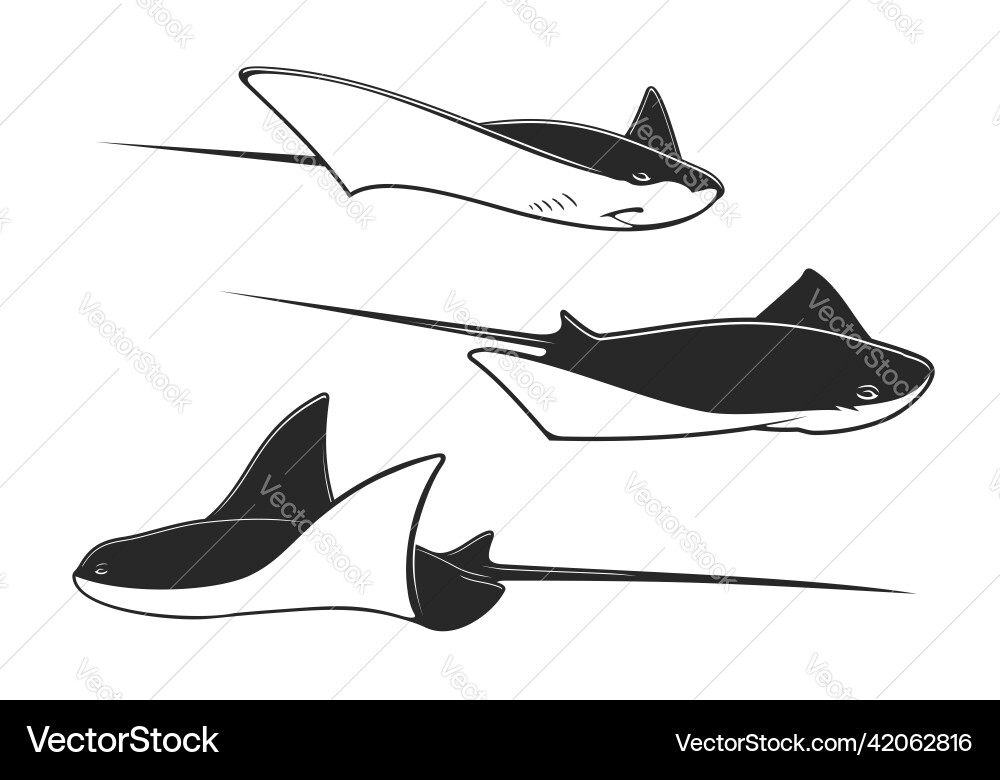 Manta Rays und Stingrays Unterwasser Vektorbild