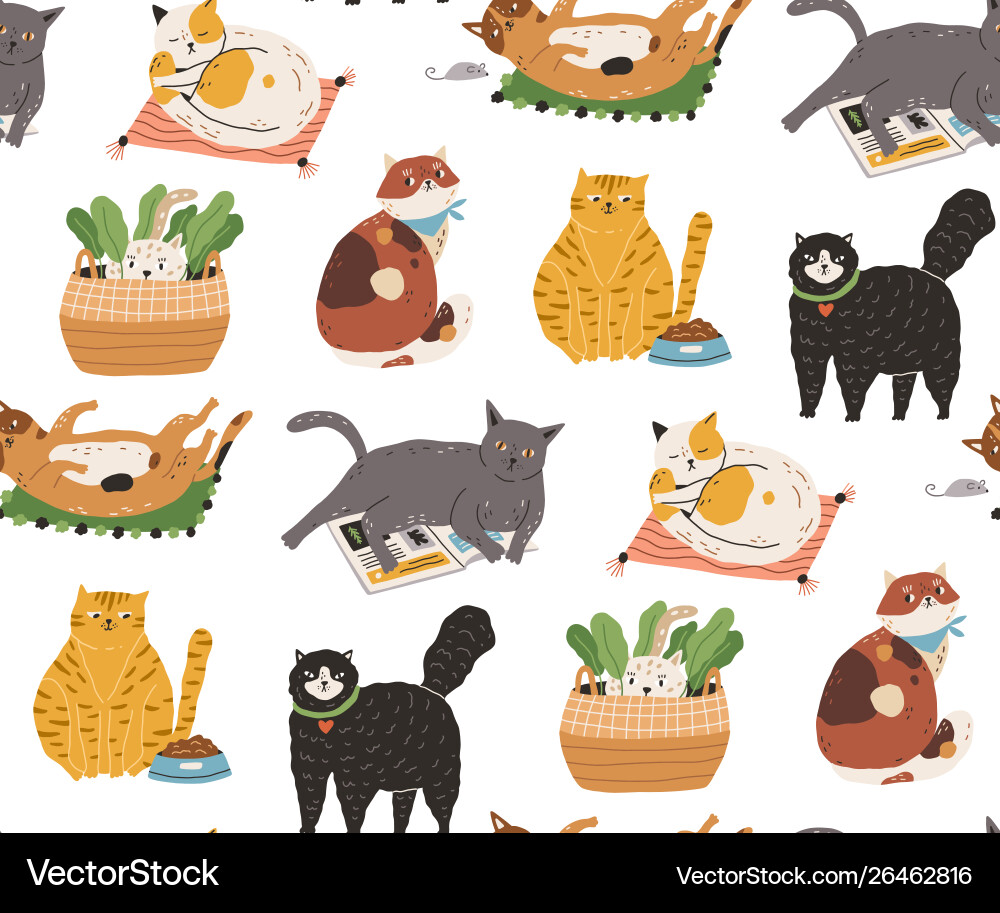 Seamless pattern with cute funny cats sleeping Seamless pattern with cute funny cats sleeping Vector Image