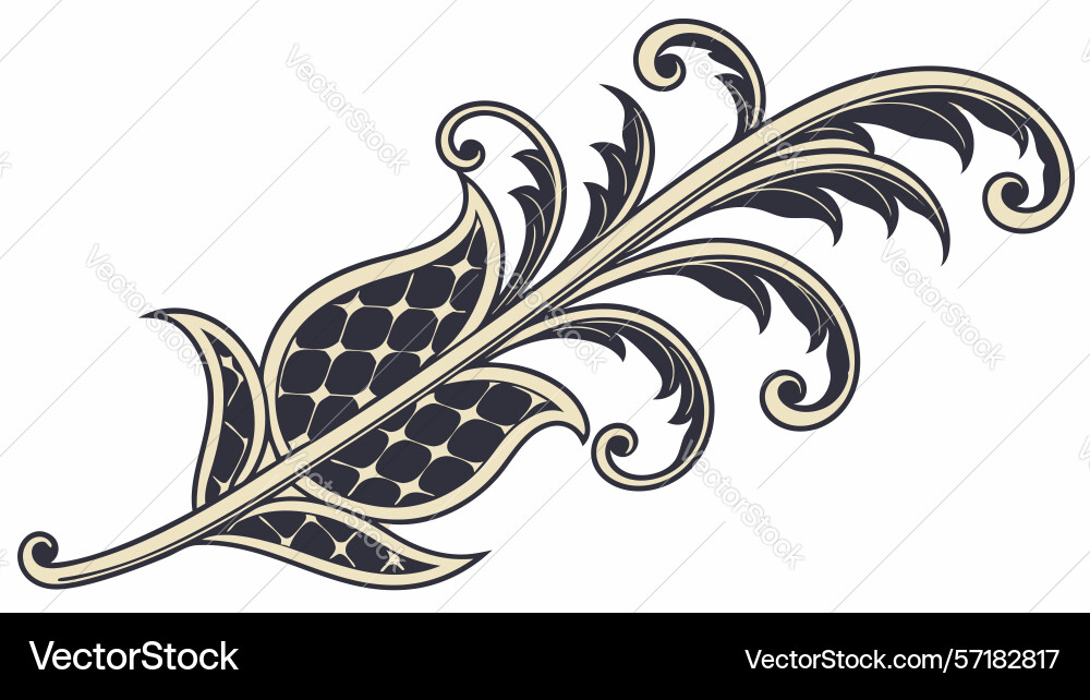 Elegant feathered scroll decorative element Vector Image