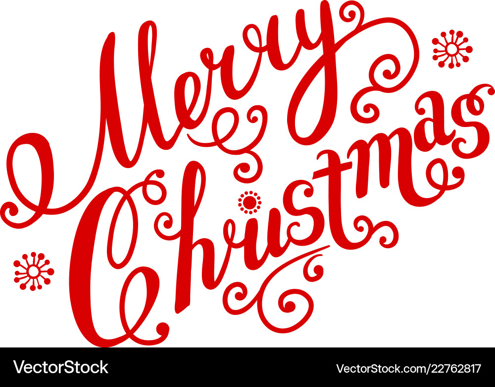 Merry Christmas Script Text vector image