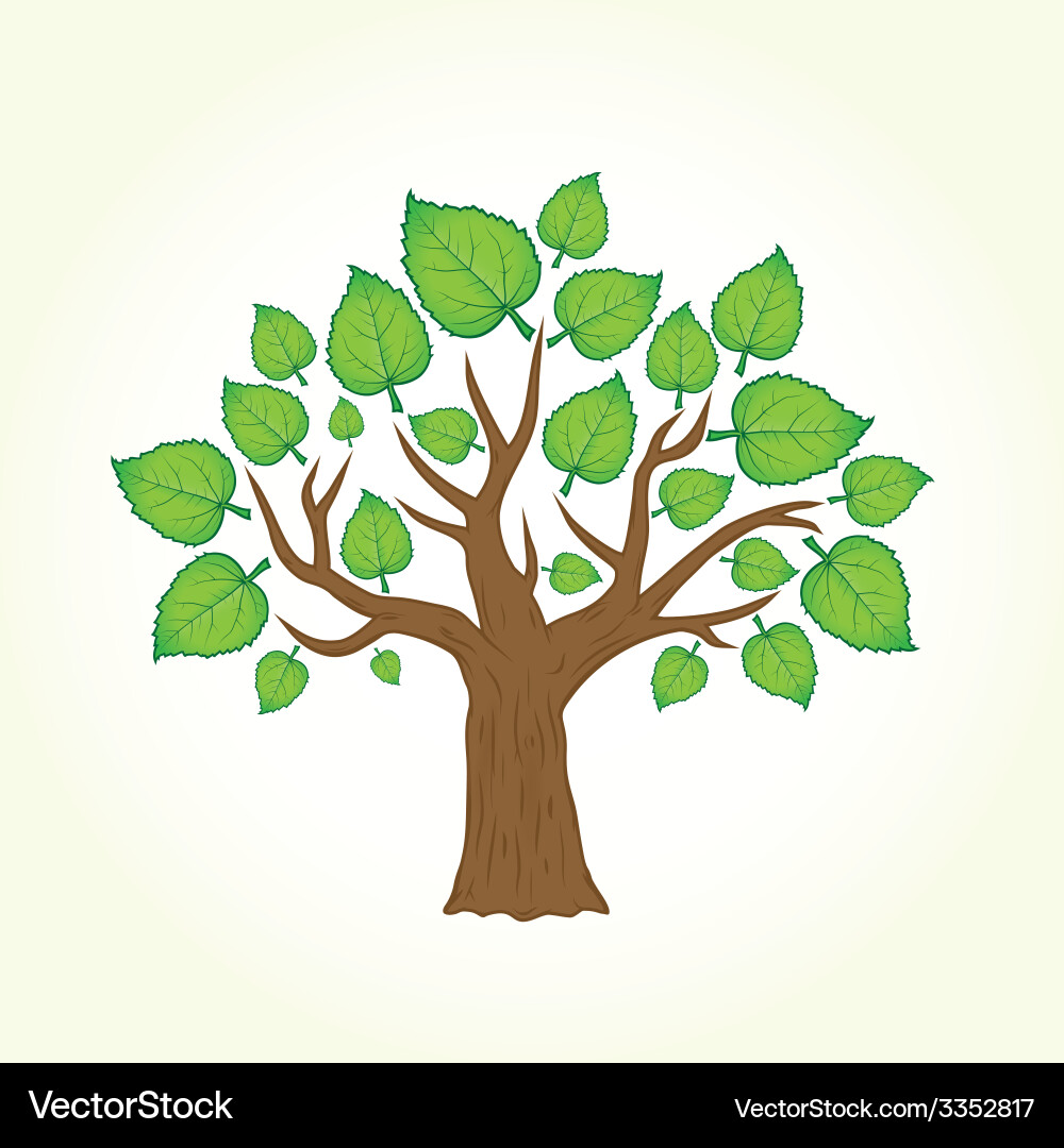 Tree with leafs isolated vector image