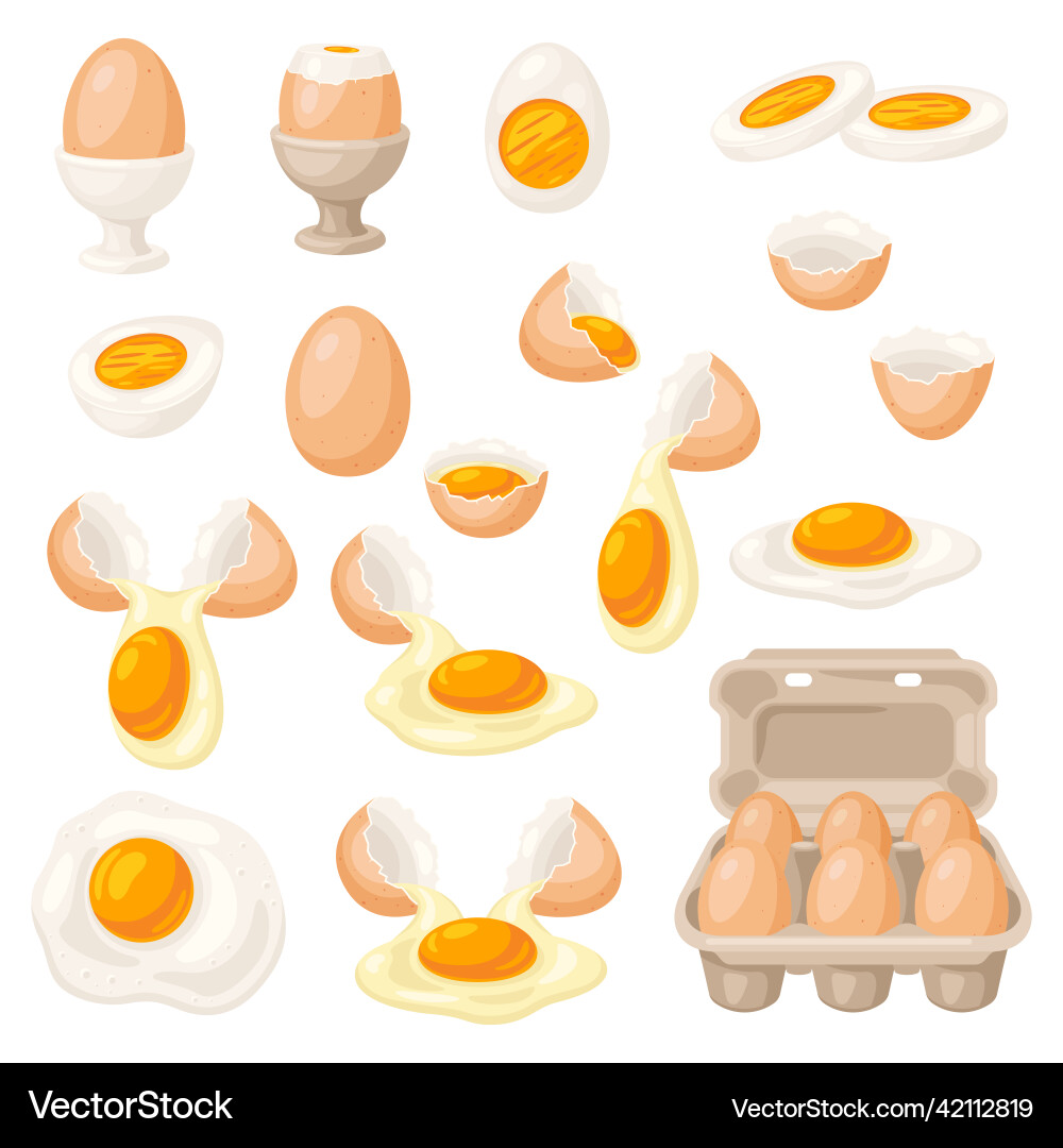 Set of various chicken egg images for food Vector Image