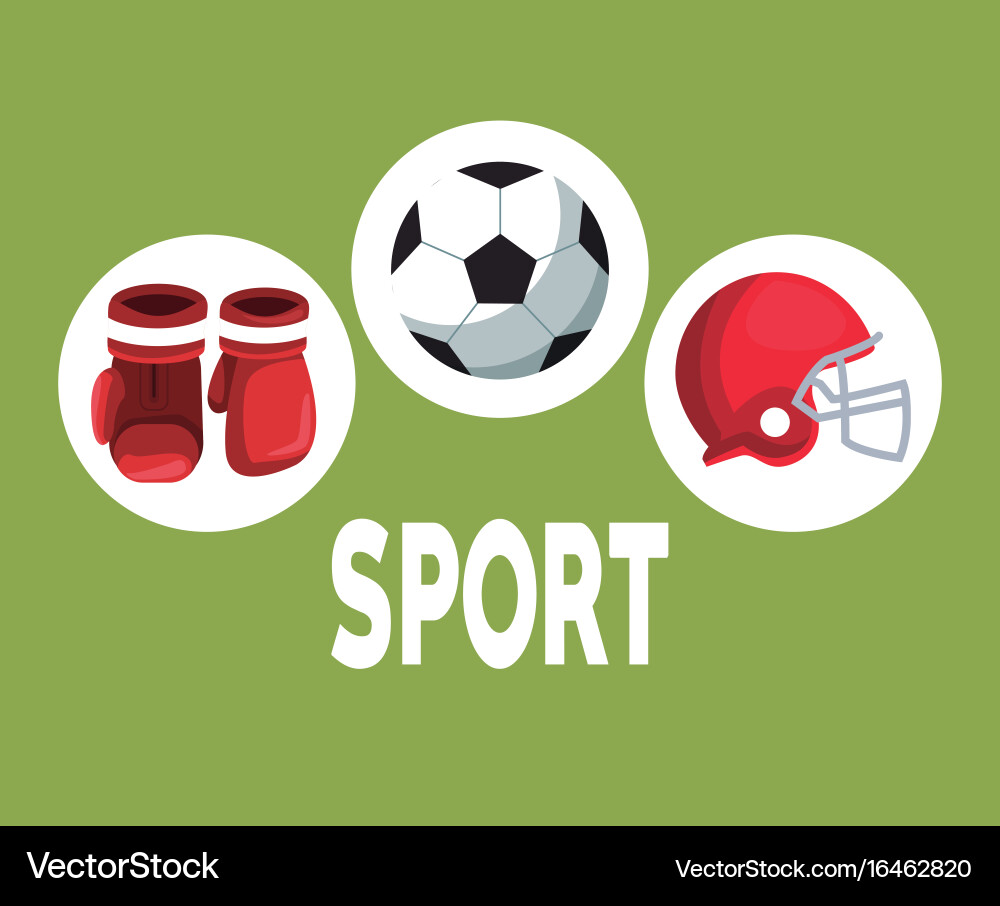 Color background with circular frames boxing vector image