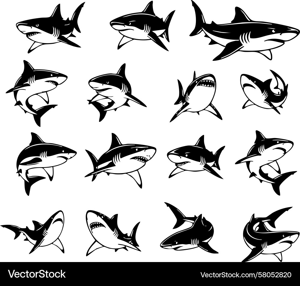 Dynamic of various sharks in different action Vector Image