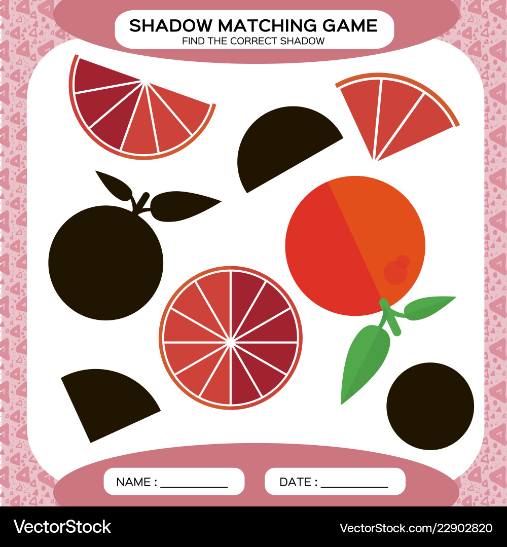 Shadow matching game find the correct shadows Shadow matching game find the correct shadows vector image