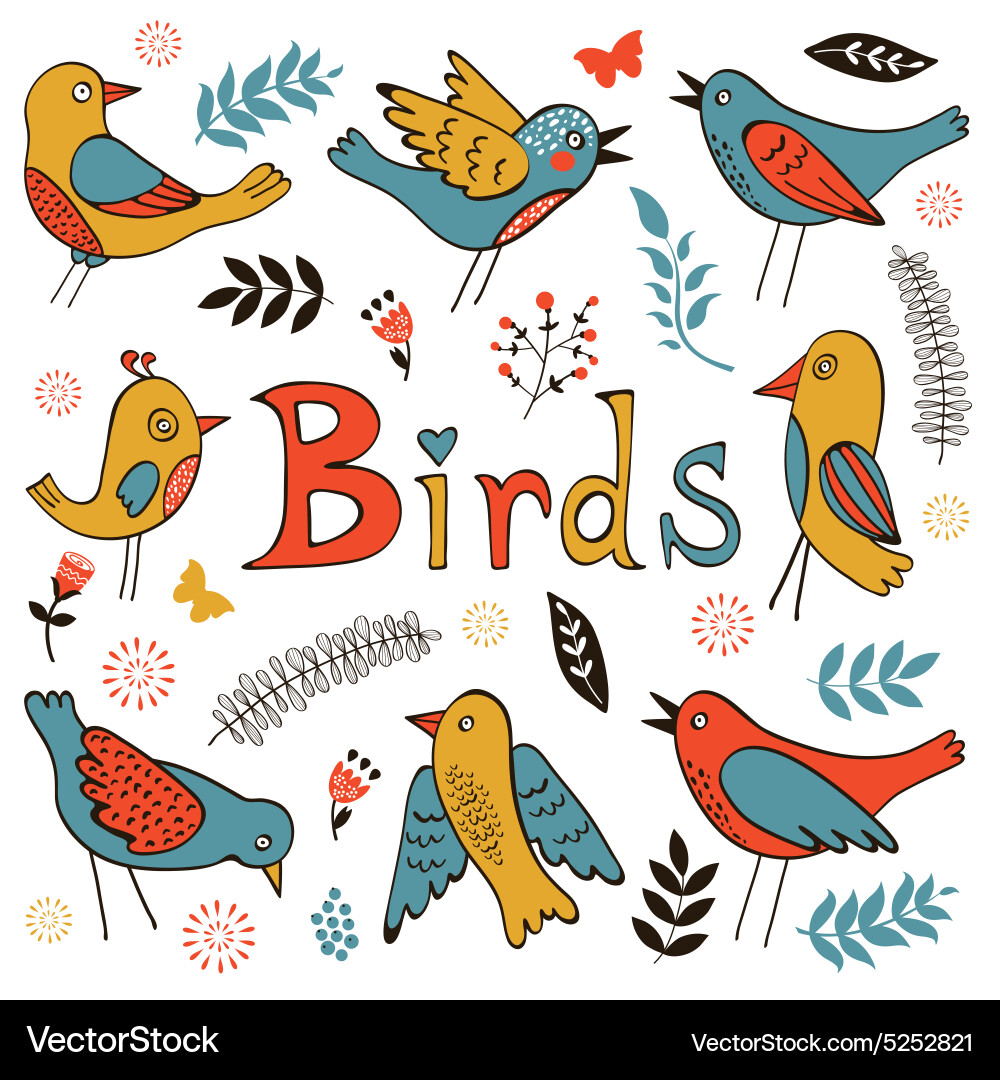 Cute collection of funny birds Vector Image