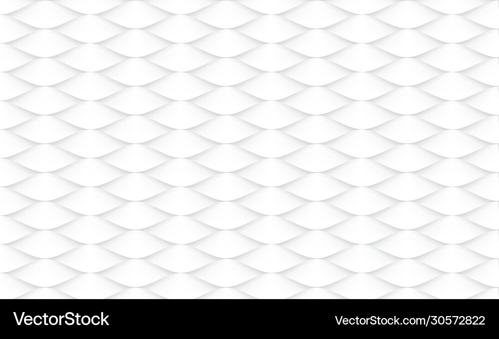 Abstract Fish Scale Pattern vector image