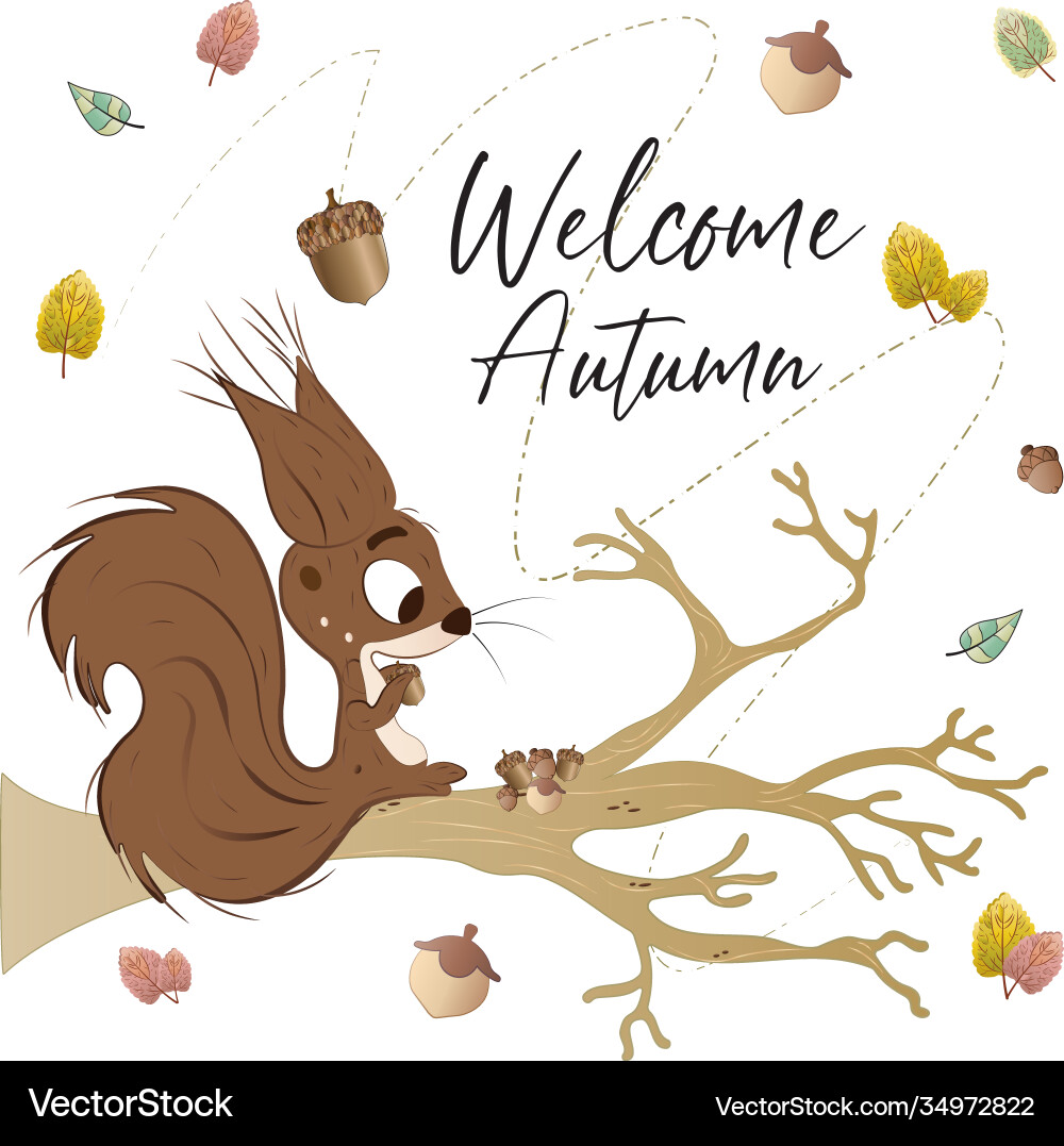 Squirrel on a tree branch vector image