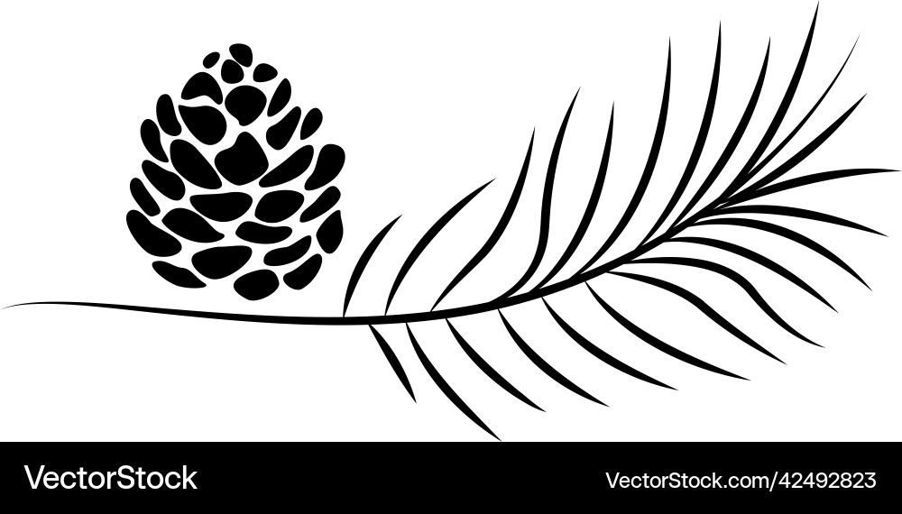 Pine branch and cone simple symbolic draw Pine branch and cone simple symbolic draw vector image