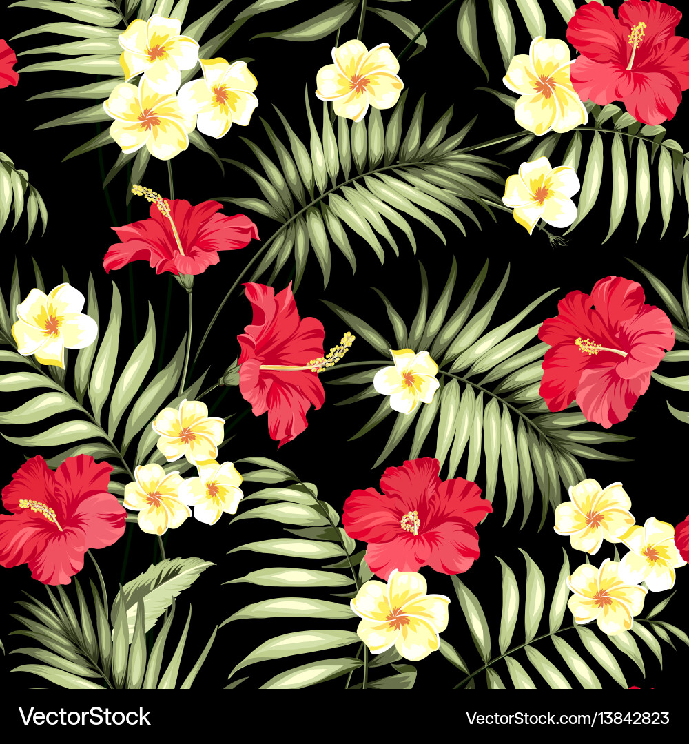Tropical Plumeria & Palm Leaves Vector Image
