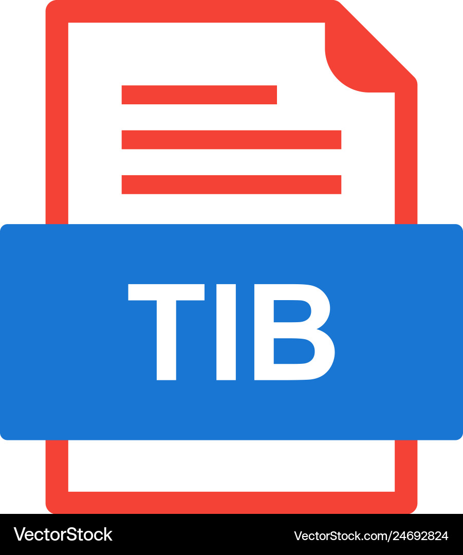 Tib file document icon vector image