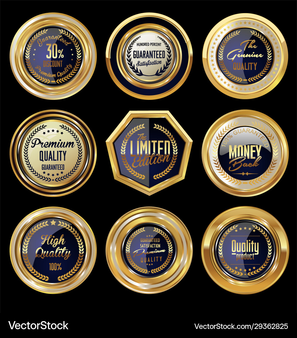 Gold and dark blue badge collection premium Vector Image