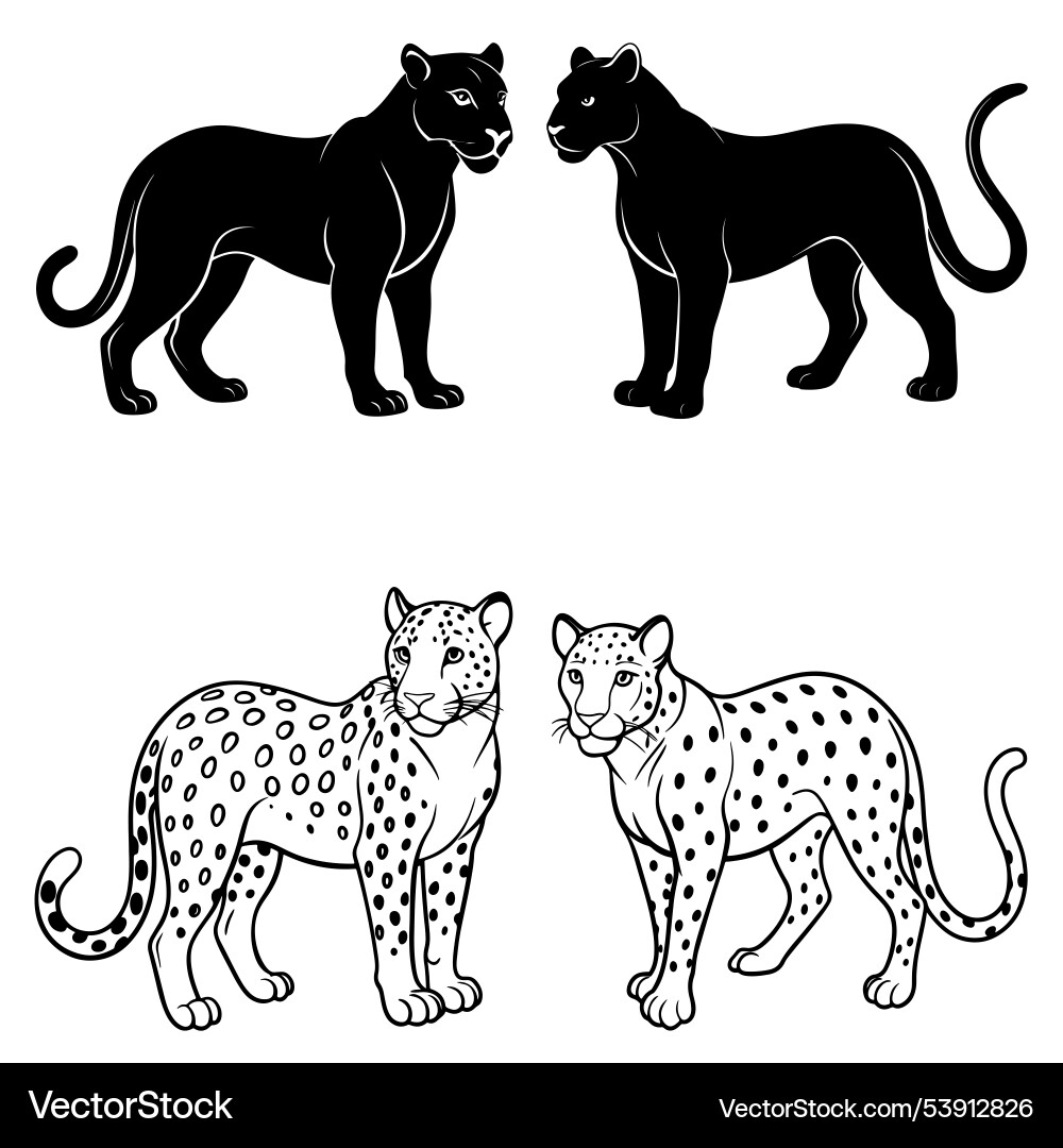 3d rendering of dynamic leopard silhouette line ar Vector Image