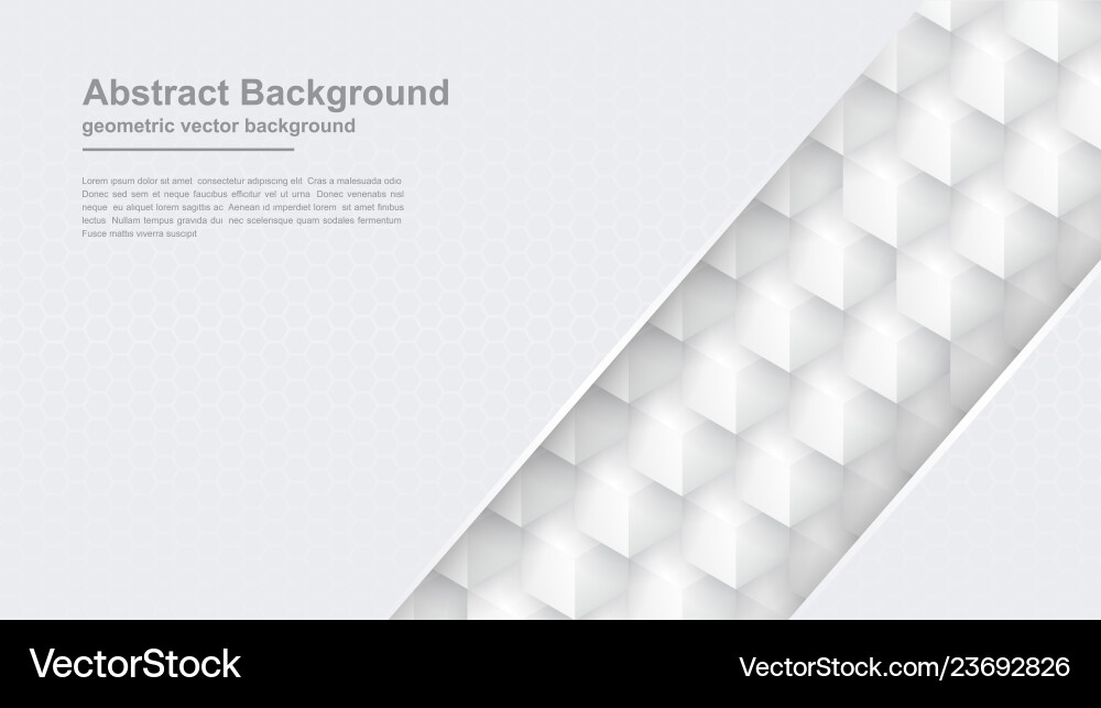 Abstract gray background with hexagon shape vector image