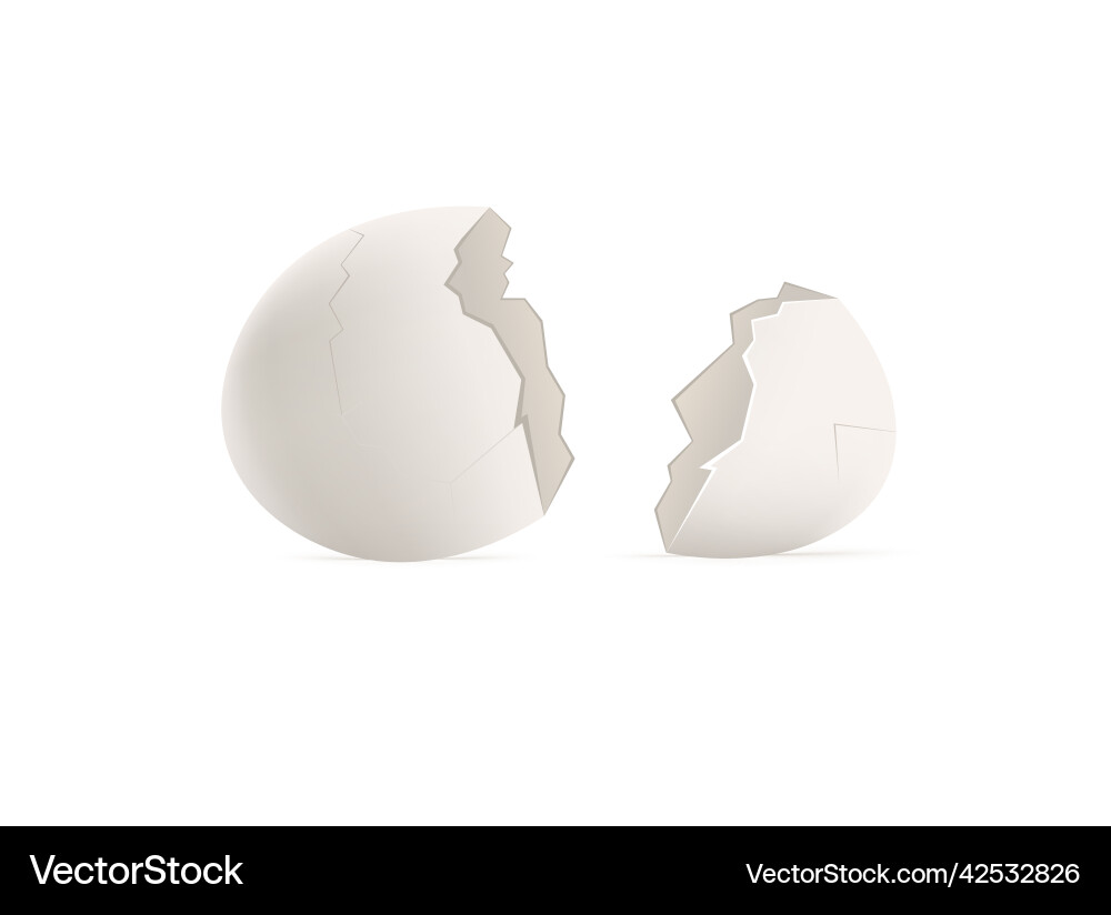 Broken empty eggshell template realistic Broken empty eggshell template realistic vector image