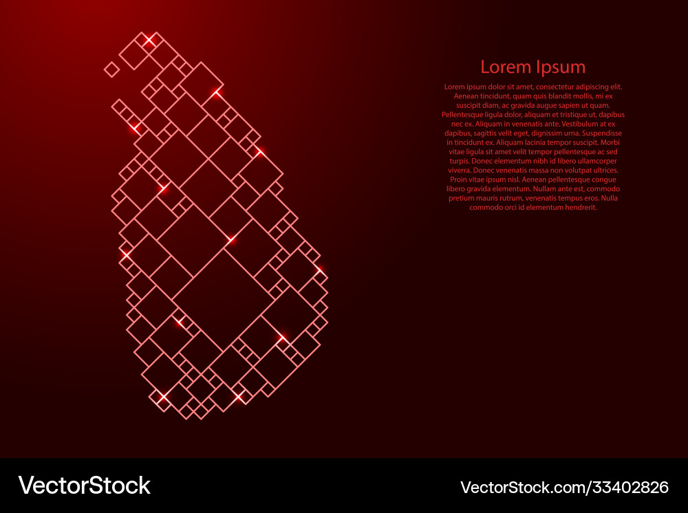 Sri lanka map from red pattern a grid vector image