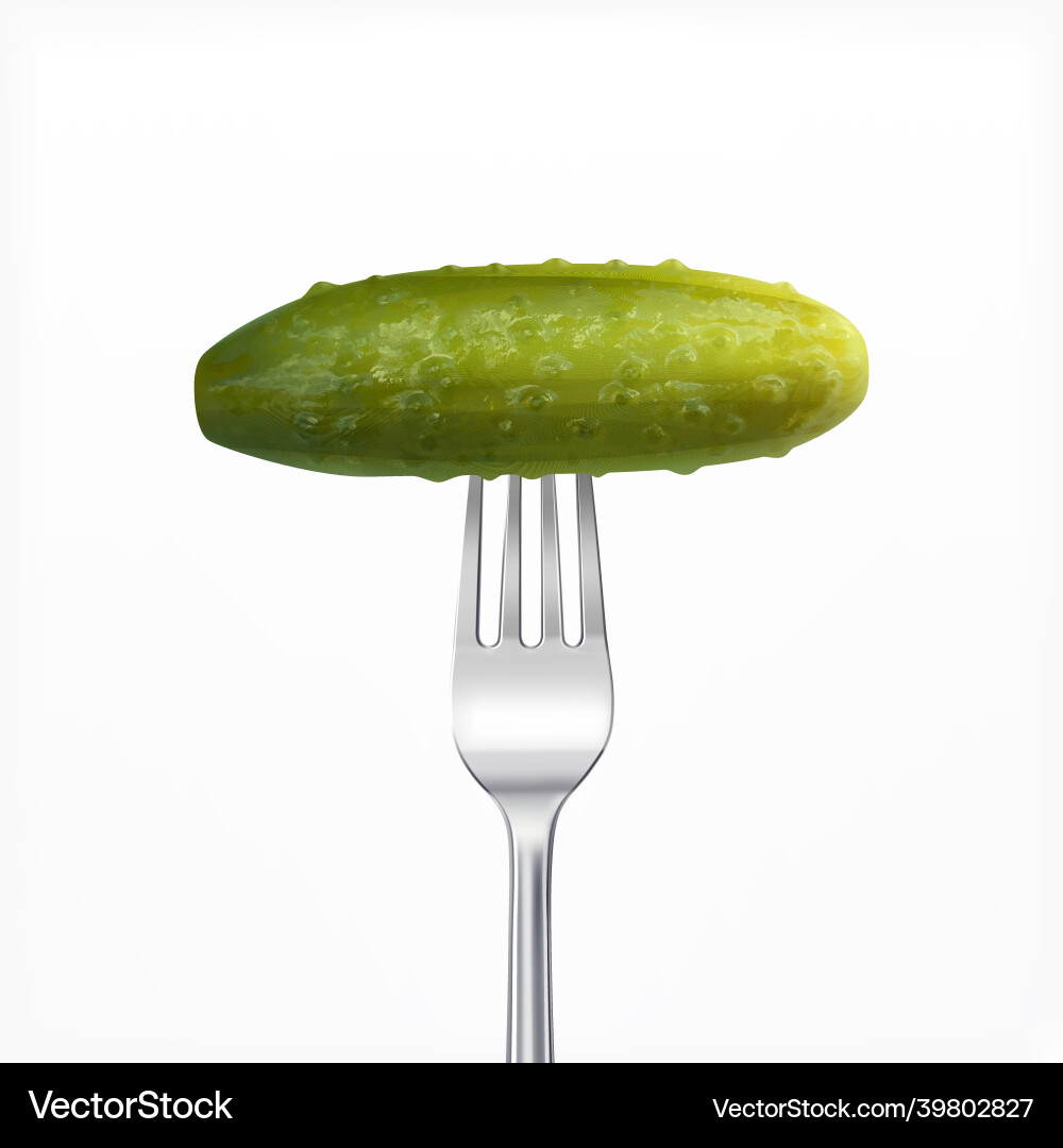 Cucumber on fork composition Vector Image