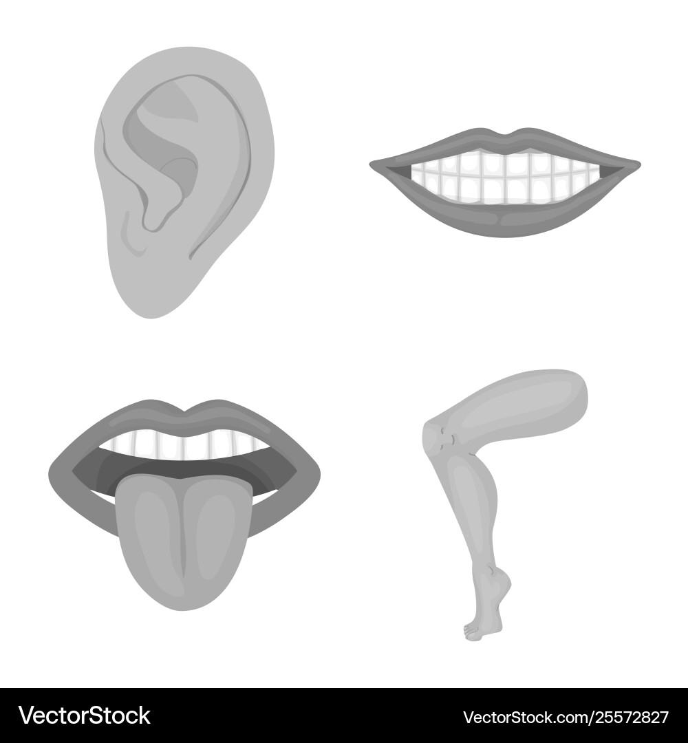 Design body and part icon set Design body and part icon set vector image