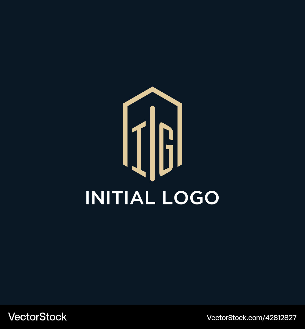 Ig initial monogram logo with hexagonal shape Vector Image