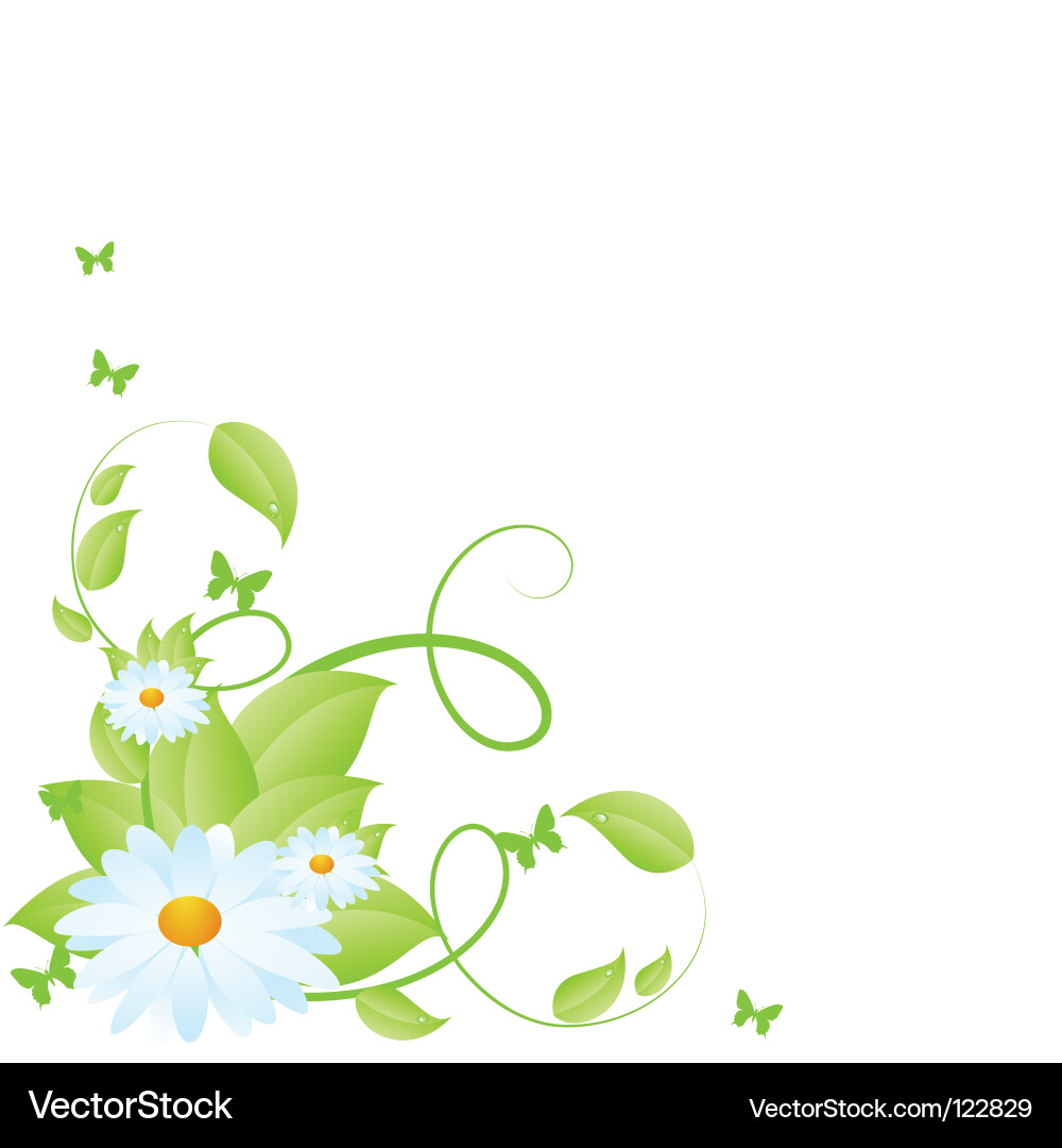 Chamomile pattern Vector Image