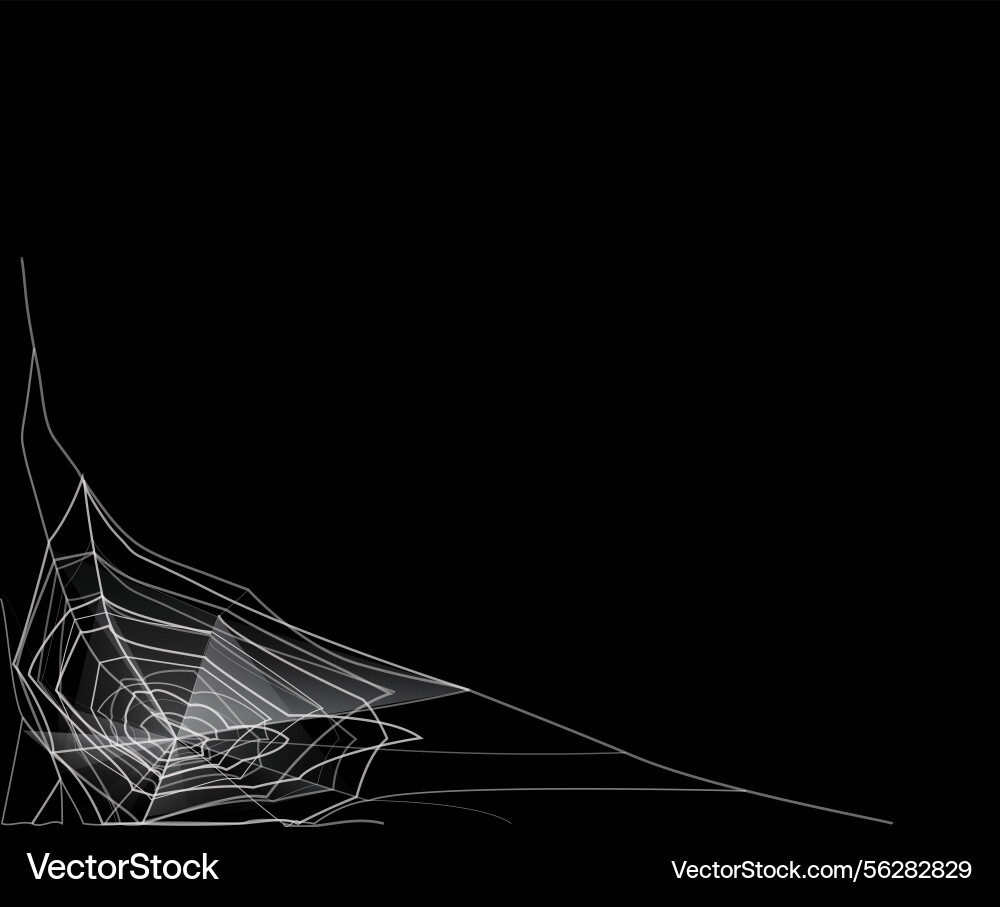 Cobweb bottom corner frame on dark background Cobweb bottom corner frame on dark background vector image