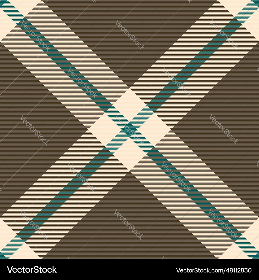 Background pattern fabric of check tartan textile vector image