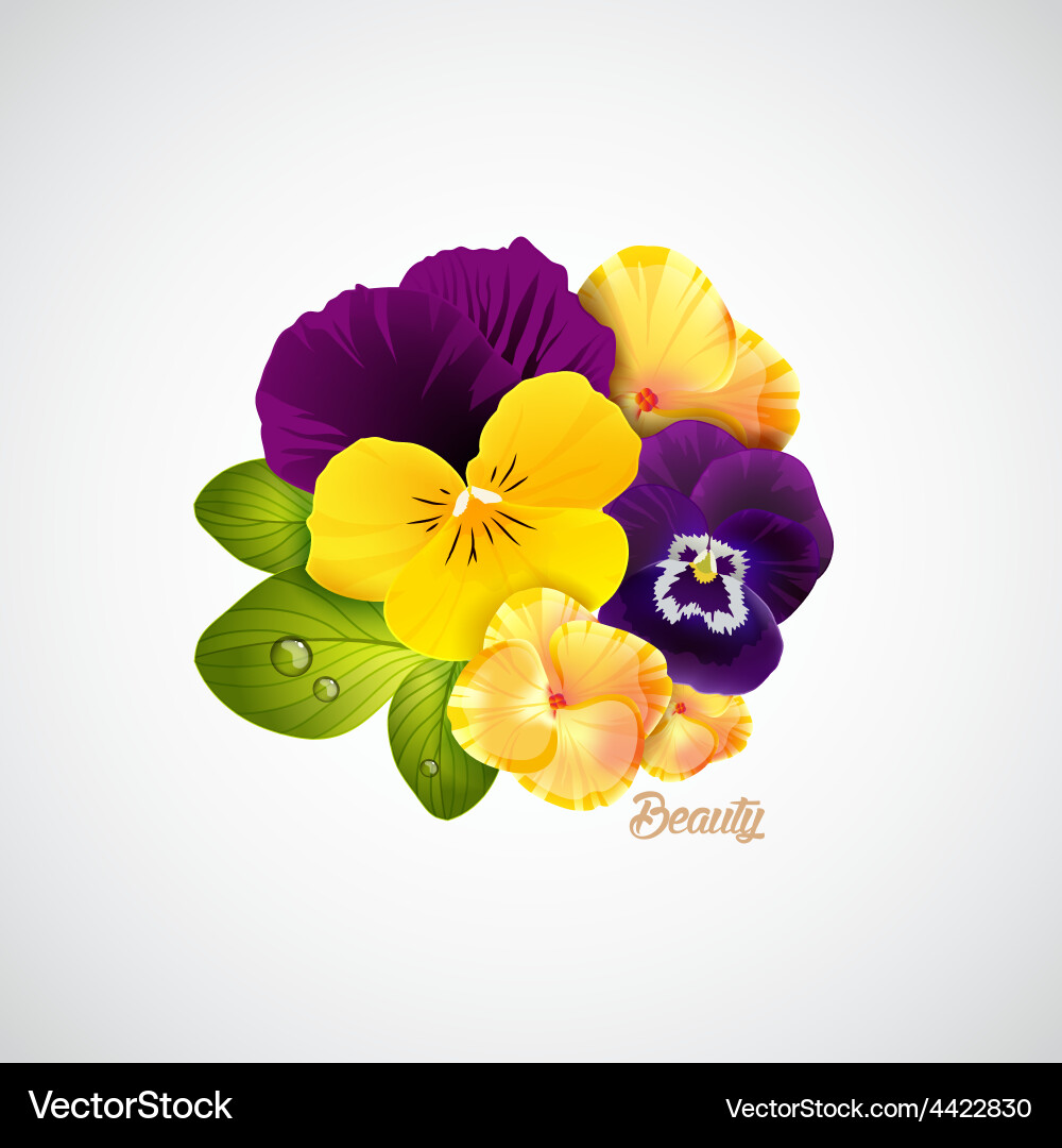Blumen Schönheit Zusammensetzung Vektorbild