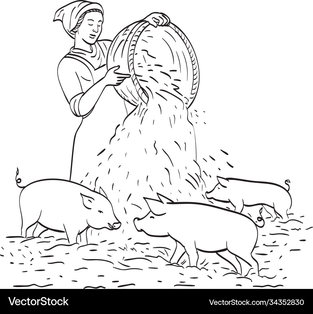Female peasant farmer feeding pigs line art Vector Image