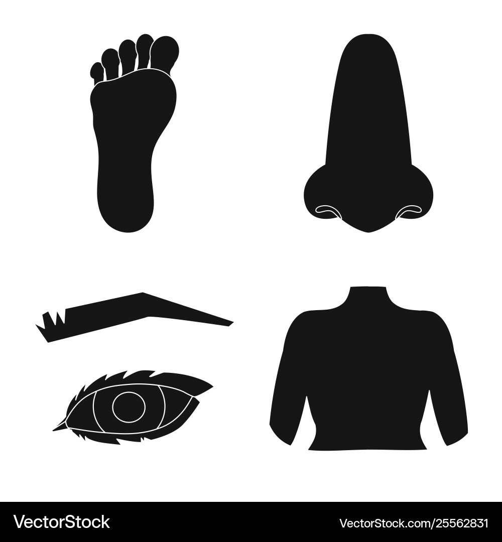 Isolated object body and part logo collection Isolated object body and part logo collection vector image
