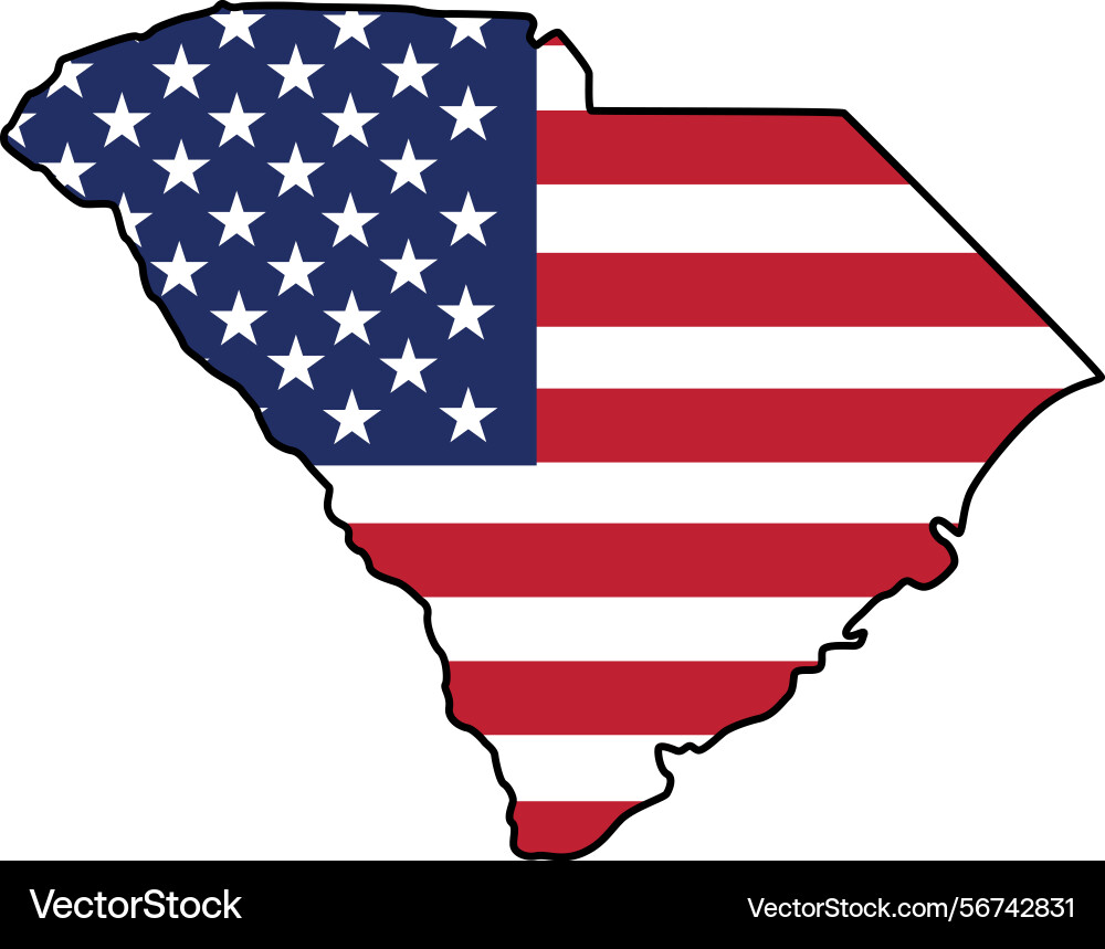 Map of south carolina state design with usa flag Vector Image