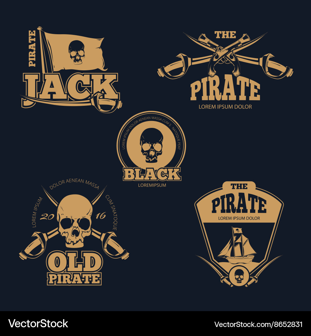 Pirate Skull & Flag Logo Set vector image