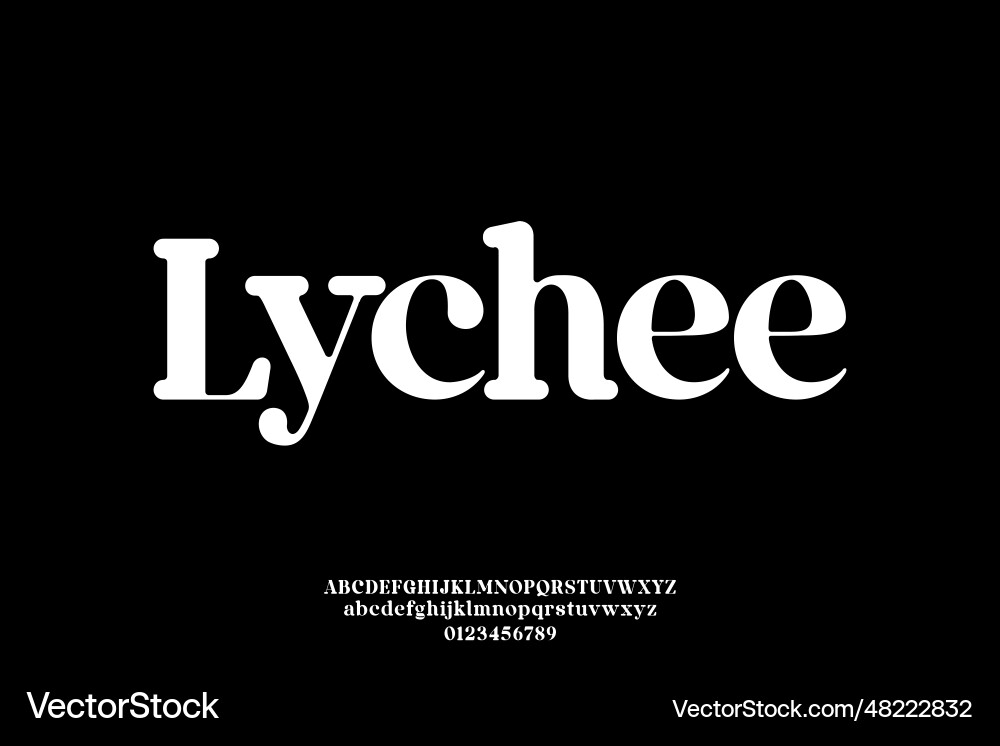 Bold rounded serif typeface display font unique Vector Image
