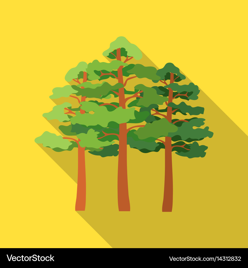 Pine icon in flat style for web vector image