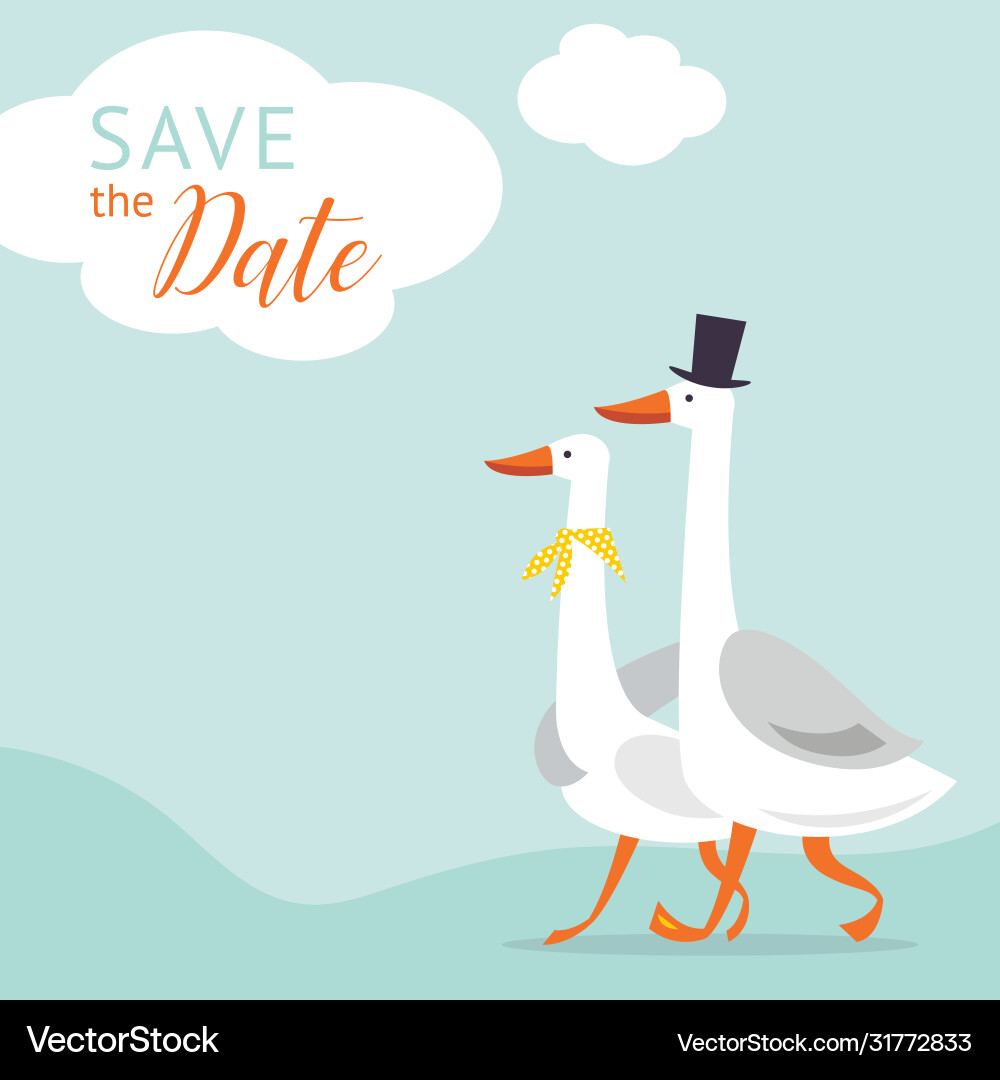 Save date card design vector image