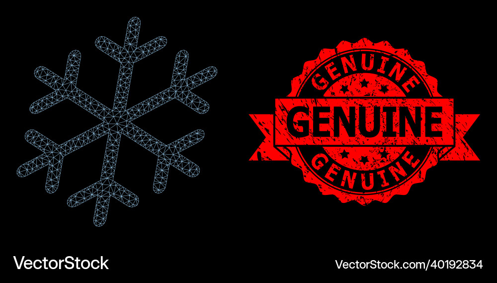 Scratched genuine stamp and web net snowflake Vector Image