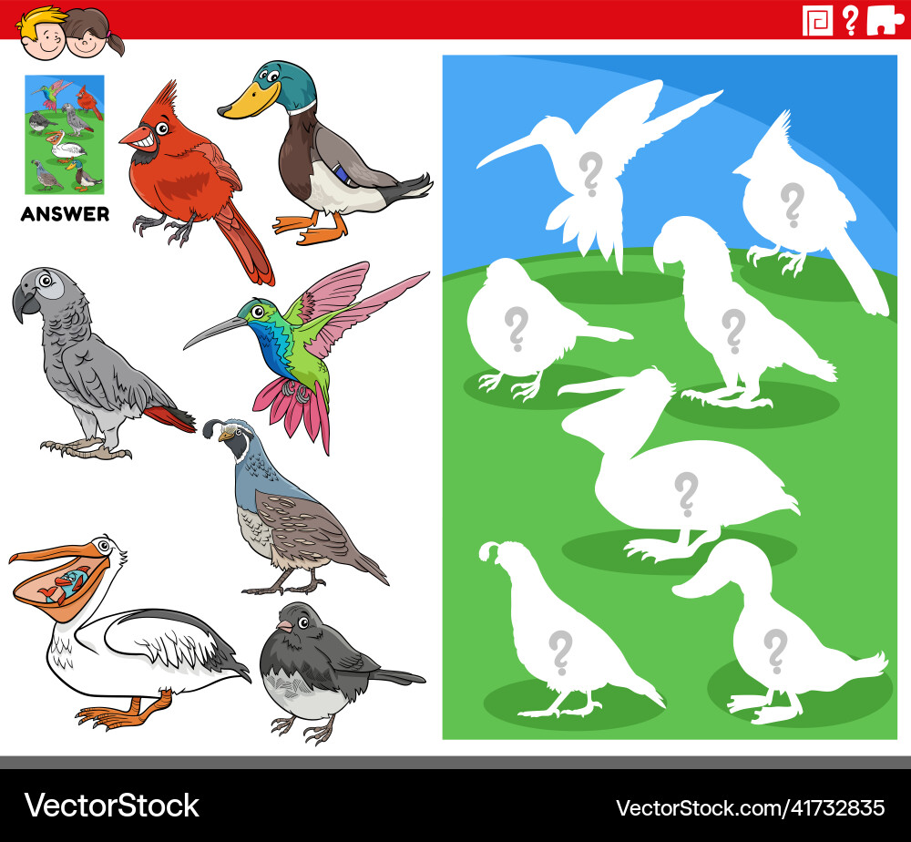 Matching shapes game with cartoon birds animal Matching shapes game with cartoon birds animal vector image