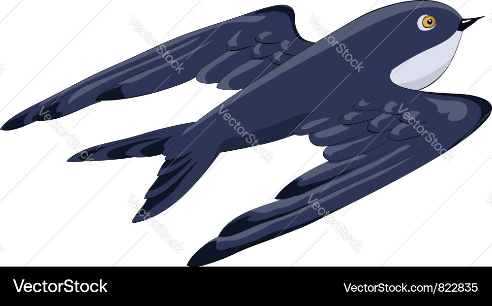 Swallow in Flight Vector Image