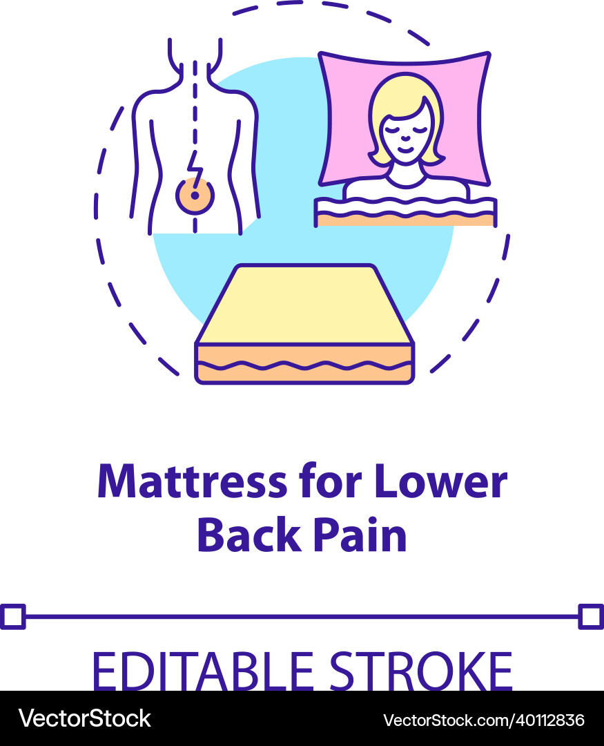 Mattress for lower back pain concept icon Mattress for lower back pain concept icon vector image