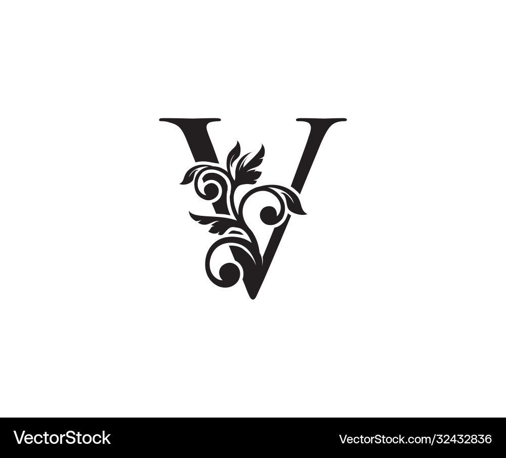 Vintage letter v logo classic design vector image